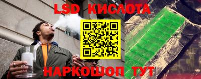 СК Краснознаменск